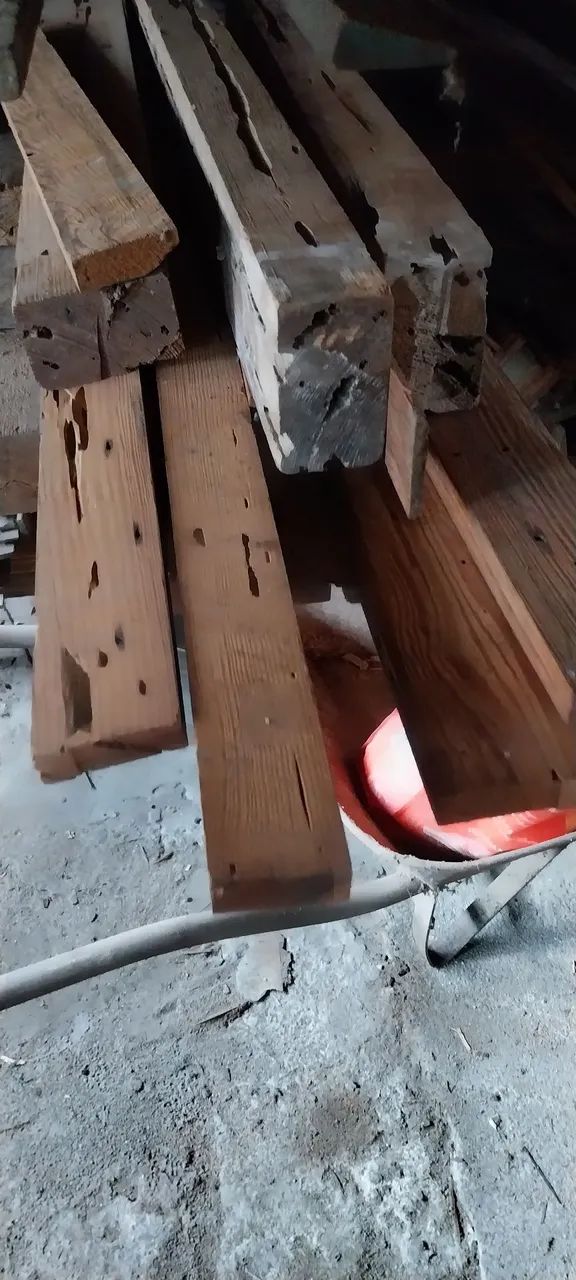 Lote de pedaços de PINHO DE RIGA - Foto 3