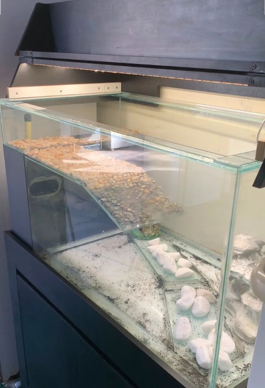Aquário de 500 litros COMPLETO - Grátis o Móvel Planejado.