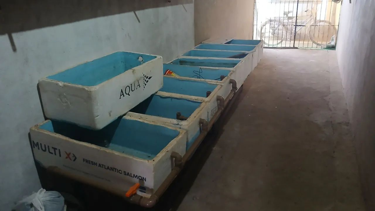 Aquários  - Foto 3