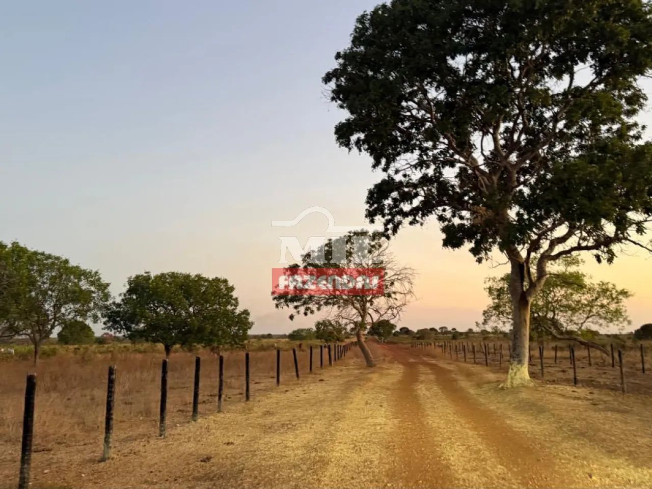 Fazenda 240 Alqueires (1.162 Hectares) Sandolândia - TO - Foto 4