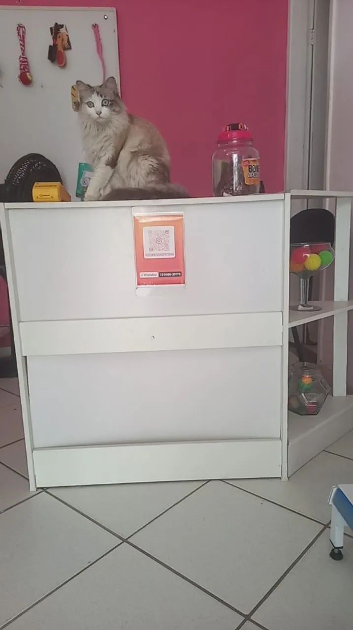 Balcão para lojas  - Foto 3
