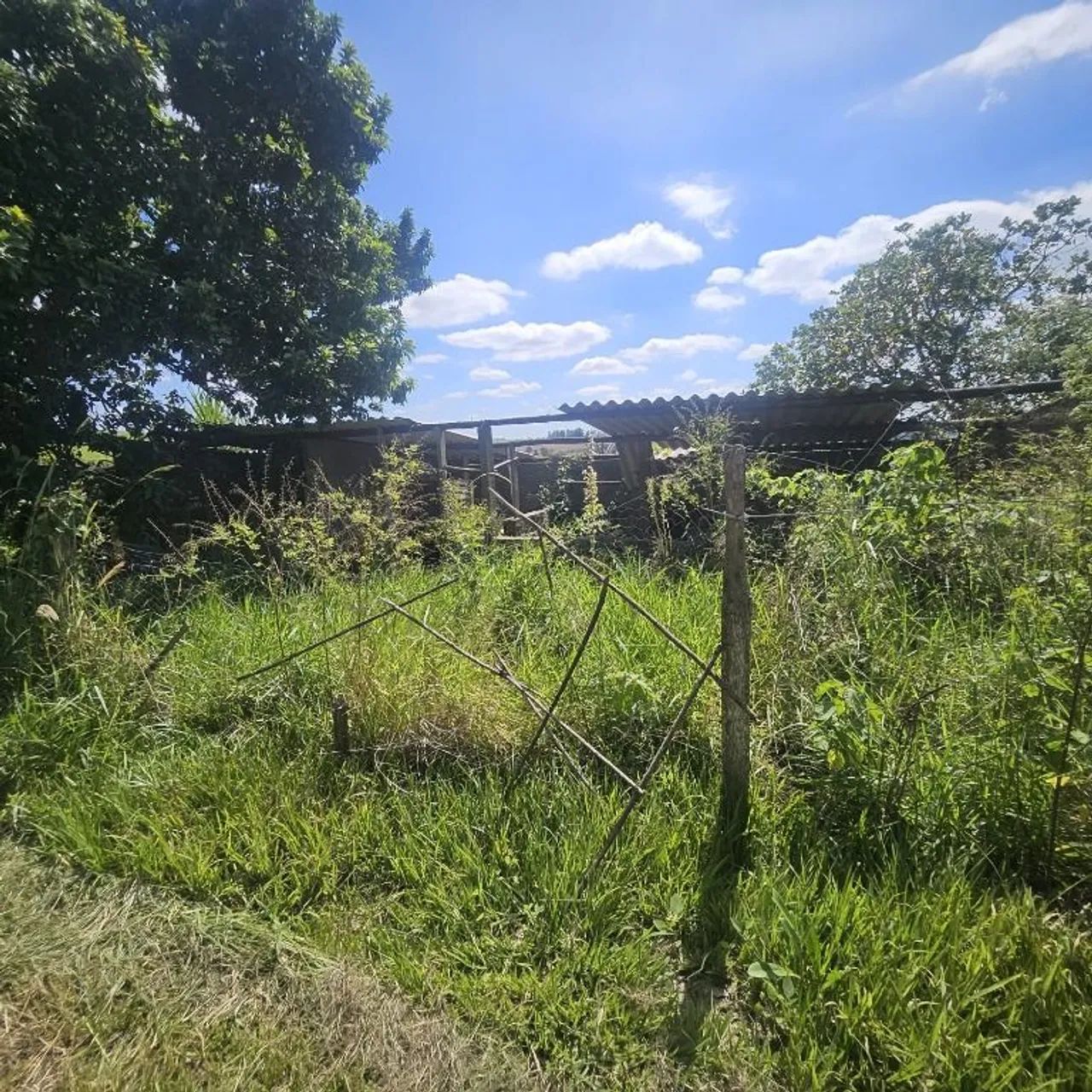 COM 61.000 M² , À SEIS KM DE BOFETE...! - Foto 4