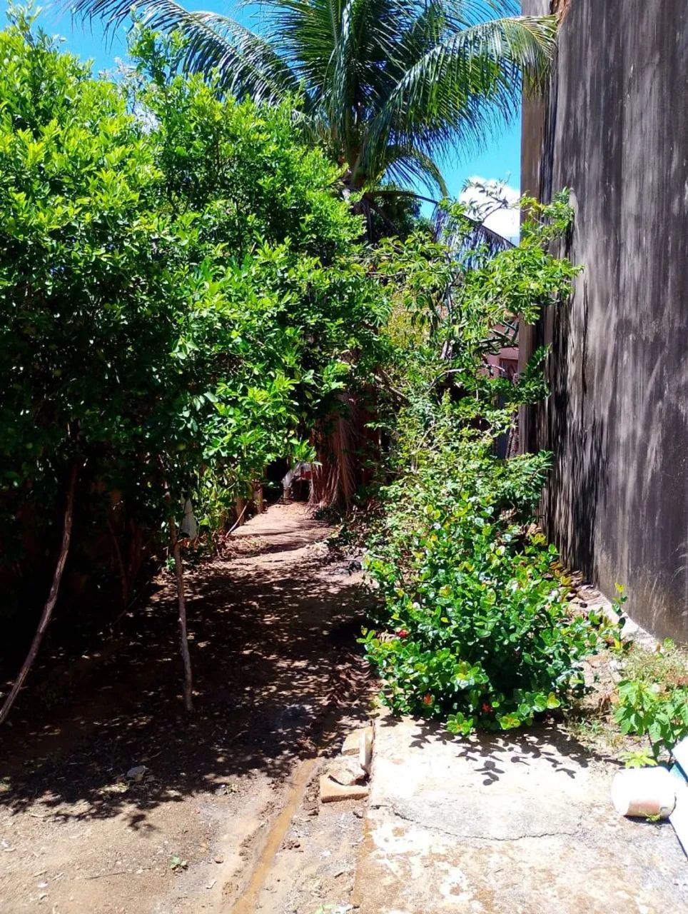 Carnaval em Porto de pedras  - Foto 7