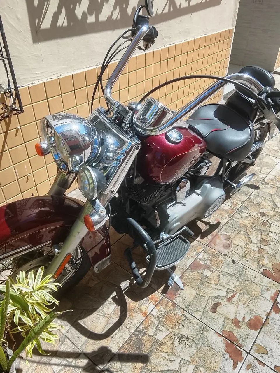 Haritage 2008 - Foto 4