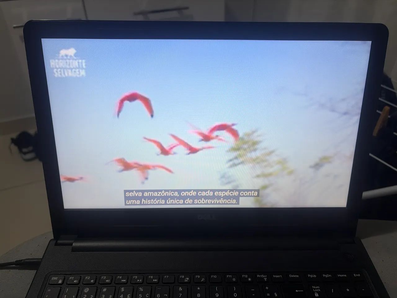 Notebook DELL  - Foto 4