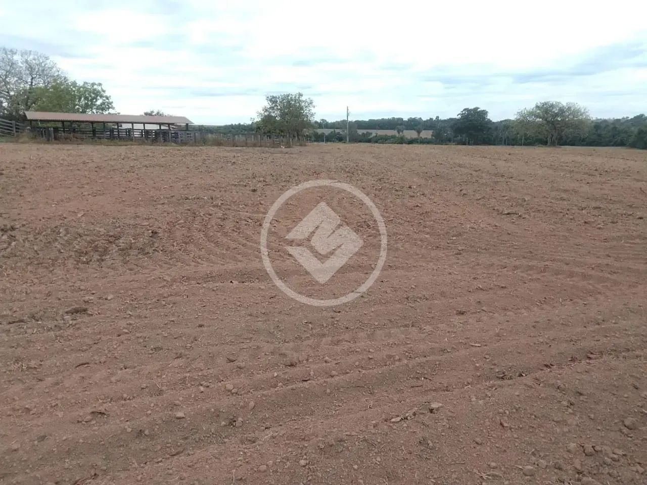 FAZENDA PRODUTIVA DE 475,21 Alqueire codigo: 367781 - Foto 4