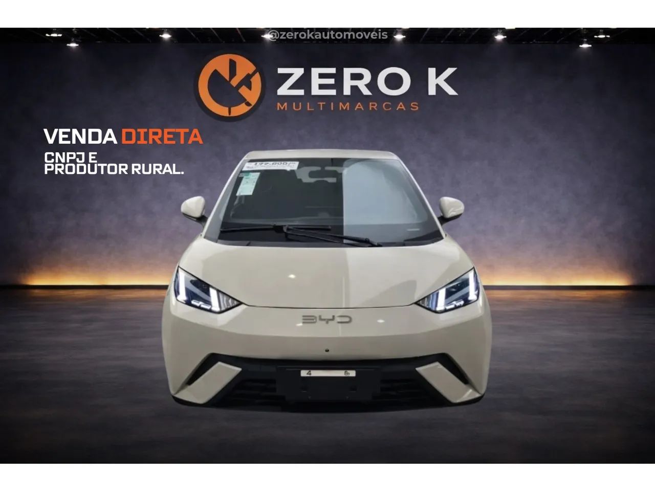 BYD Dolphin Mini (Elétrico) 2027