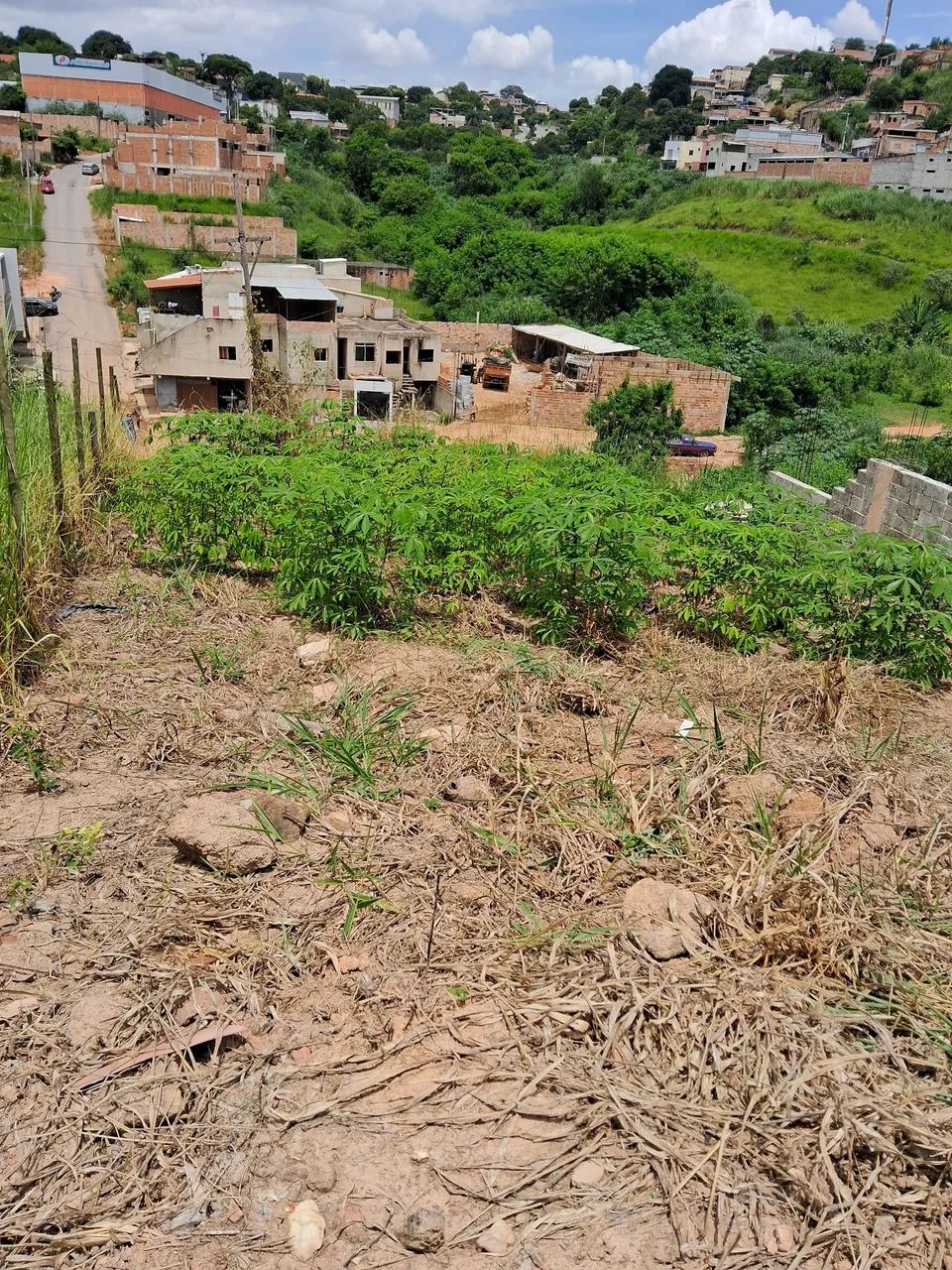 Lote ótimo preço 