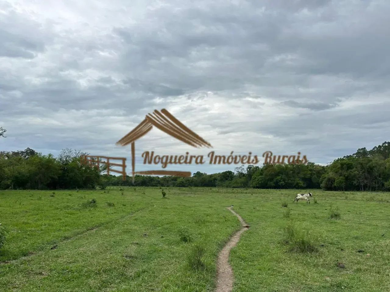 Sitio com 14 alqueires na região de Porangaba/SP - Foto 3