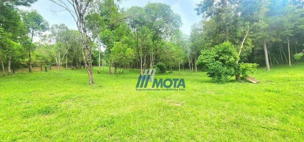 Ara para chácara Campo Largo com 21.796,00m2 com linda vista panorâmica para serra do São  - Foto 5