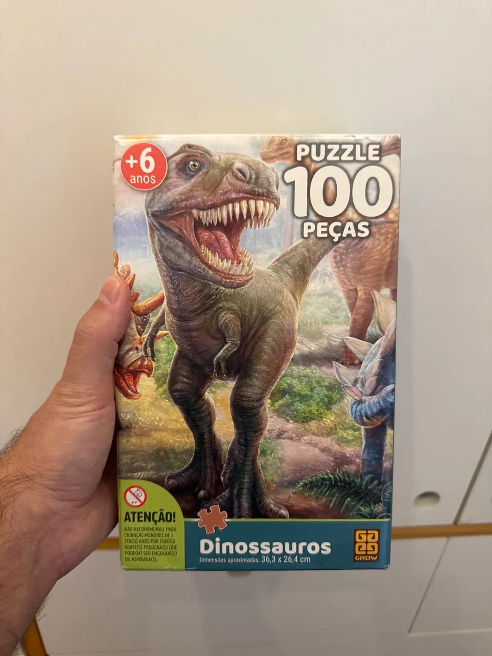 Quebra-cabeças Dinossauros 100 peças