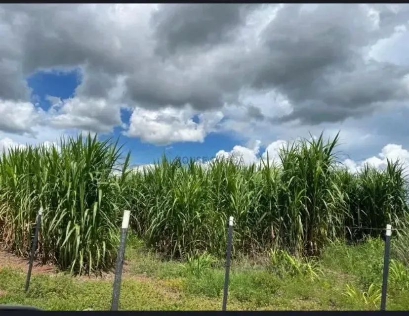 FAZENDA À VENDA  OPORTUNIDADE IMPERDÍVEL - Foto 4