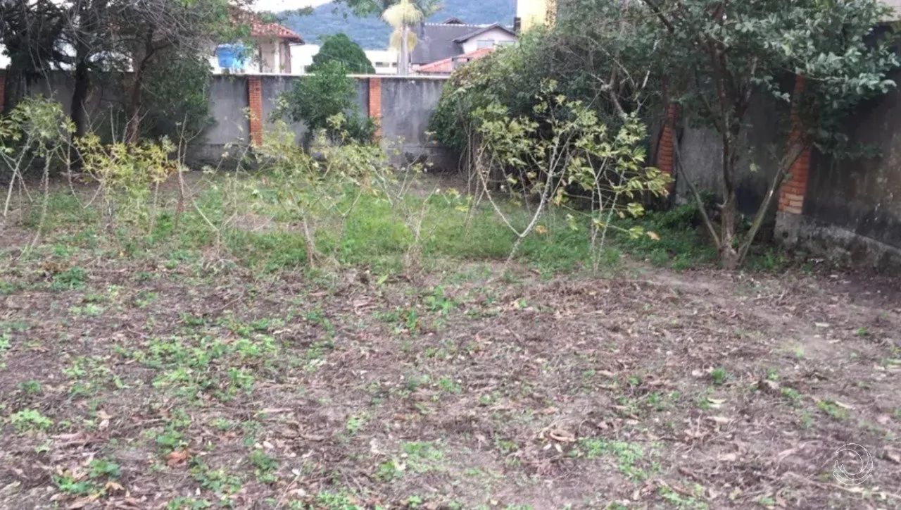 Terreno com 407m² no Rio Tavares - Foto 3