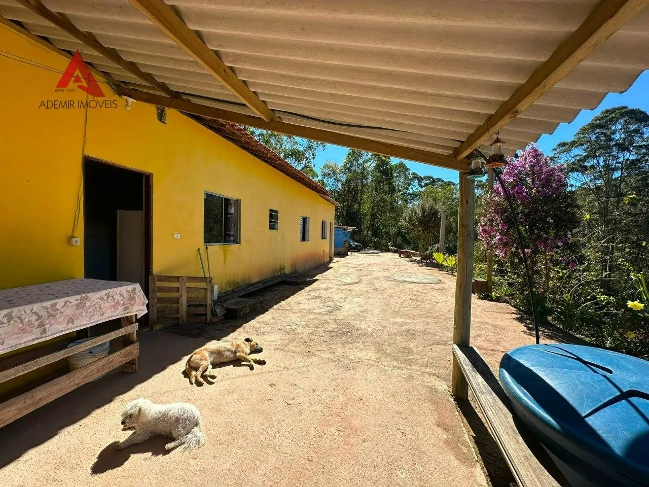 Chácara à venda em Salesópolis-SP - Natureza, tranquilidade e qualidade de vida! - Foto 4