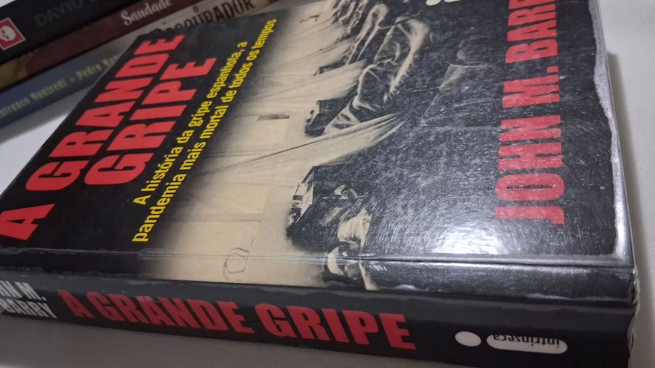 Livro A Grande Gripe _ A história da gripe espanhola - Foto 4