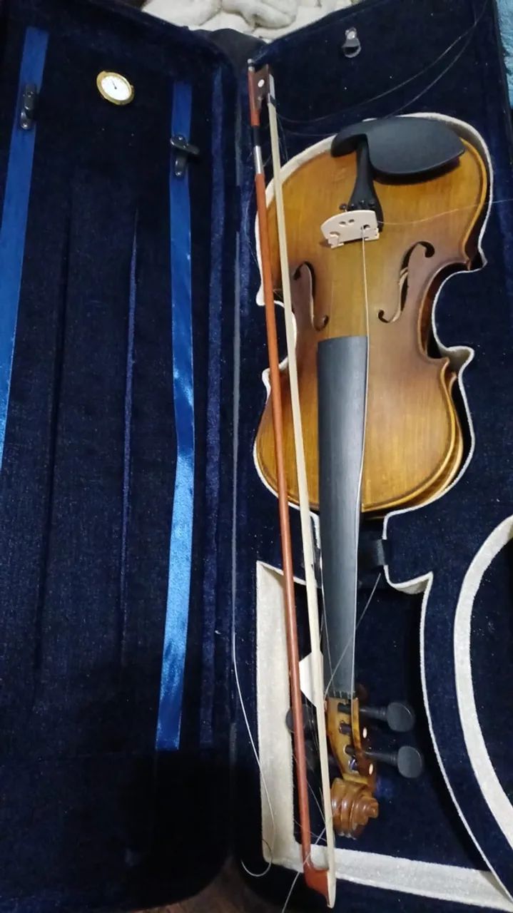 Violino