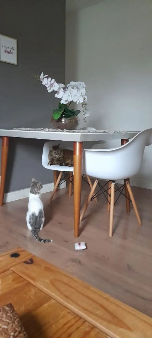 Mesa de jantar 4 lugares 