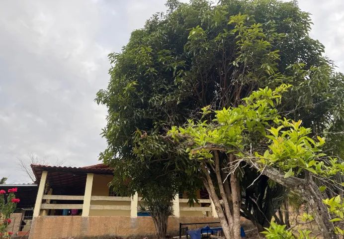 Vendo Lindo sítio/chácara na cidade de Carmópolis de Minas - Foto 3