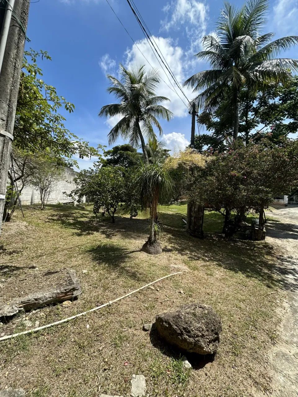 ÓTIMO IMÓVEL COMERCIAL A VENDA EM PEDRA DE GUARATIBA - Foto 4