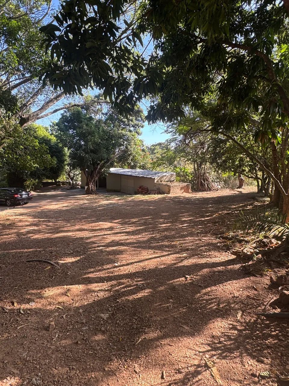 Chácara em Trindade  - Foto 4
