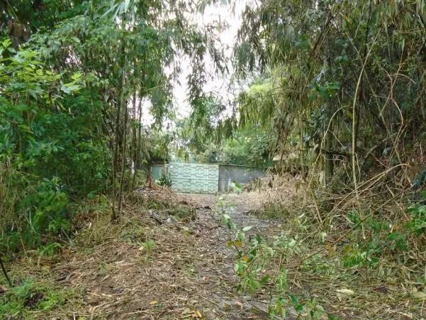 Terreno- Petrópolis, Quitandinha - Foto 2
