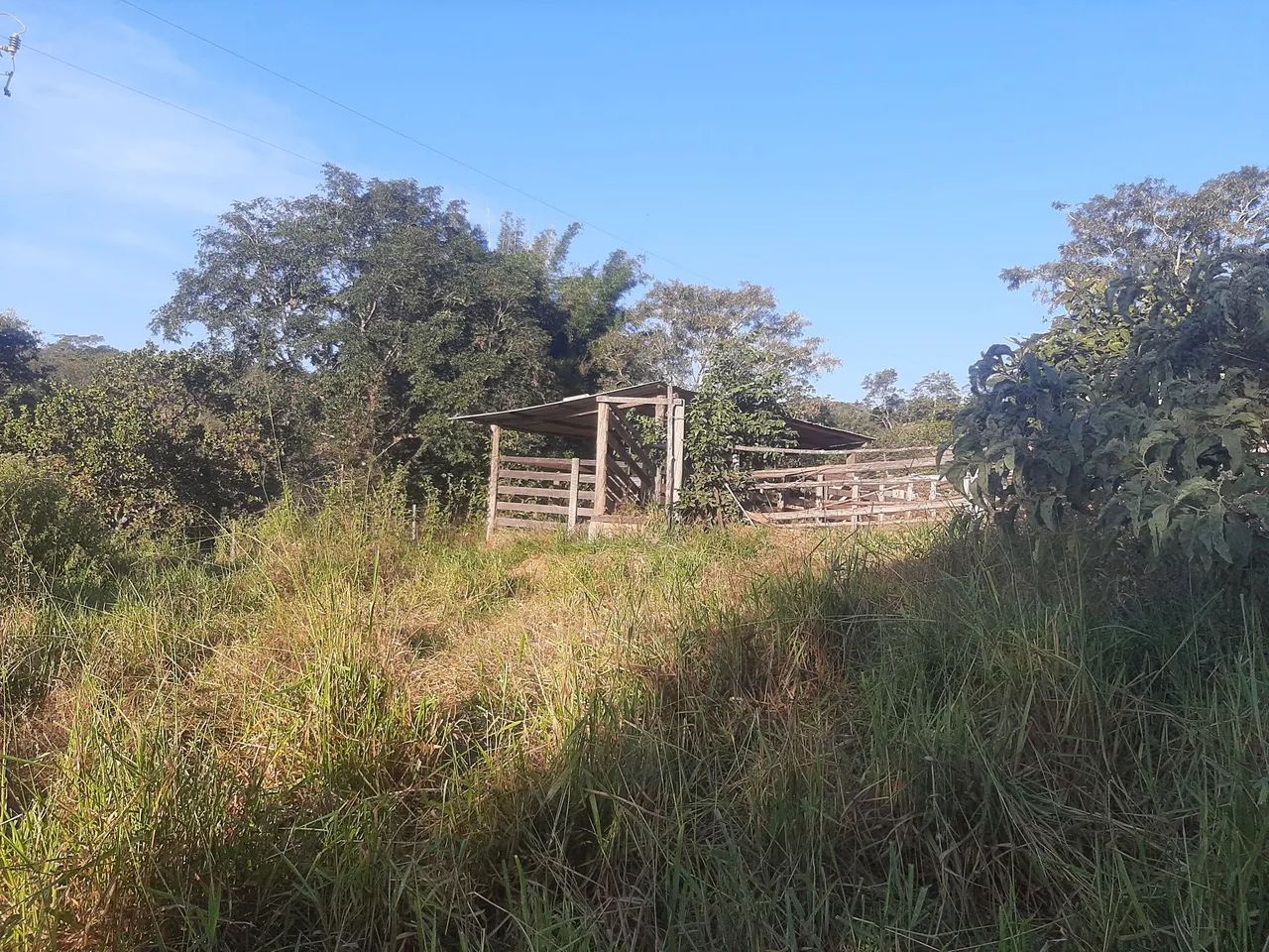 500 há com muita água em MG - Foto 4