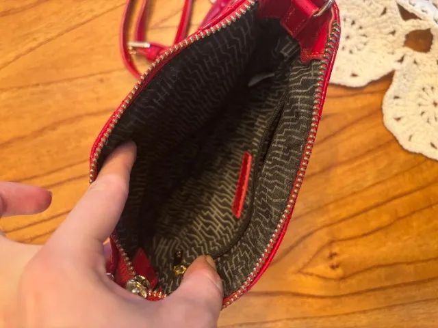 Bolsa Santa Lolla - Foto 4