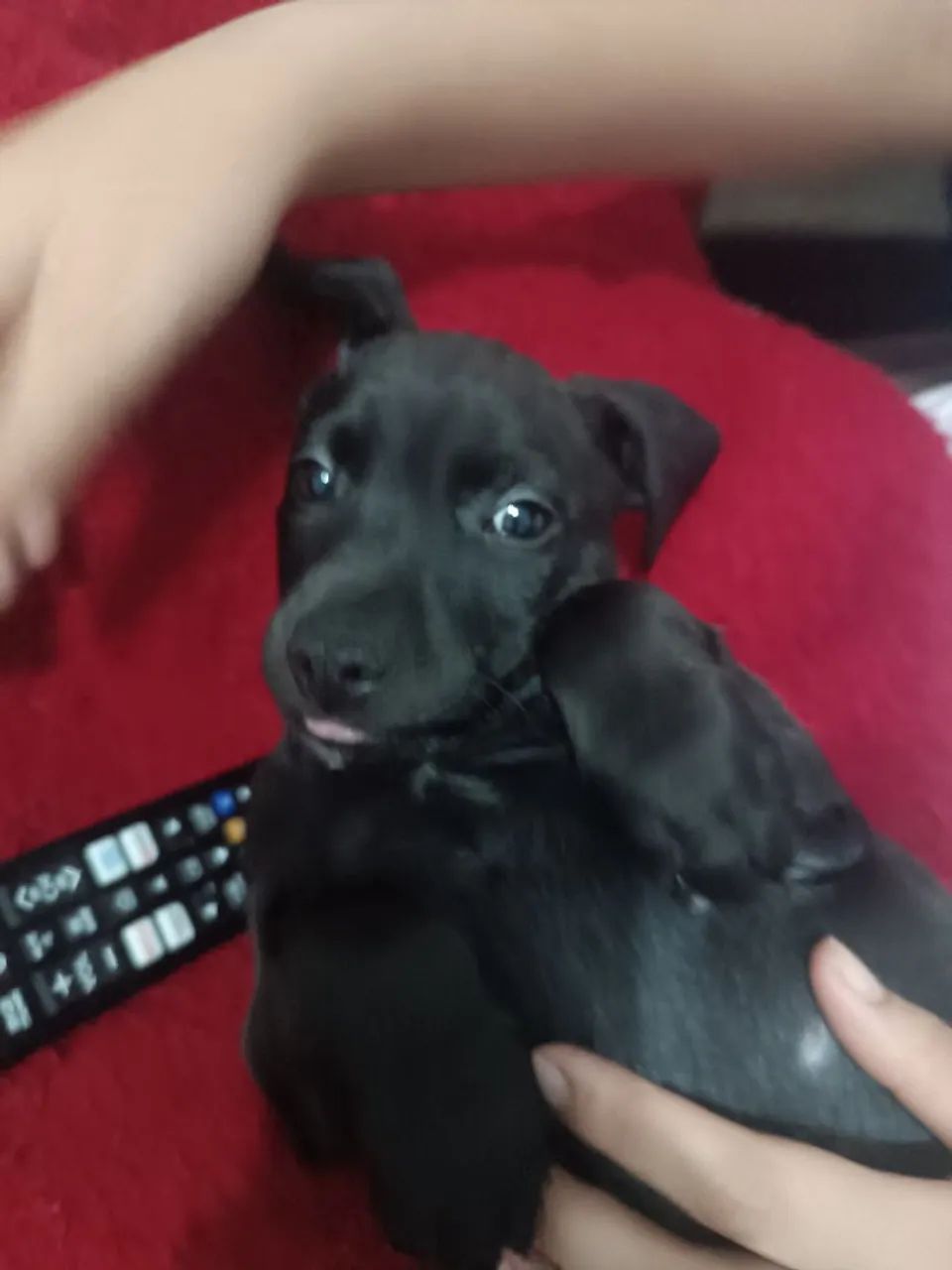 Doação Responsável...