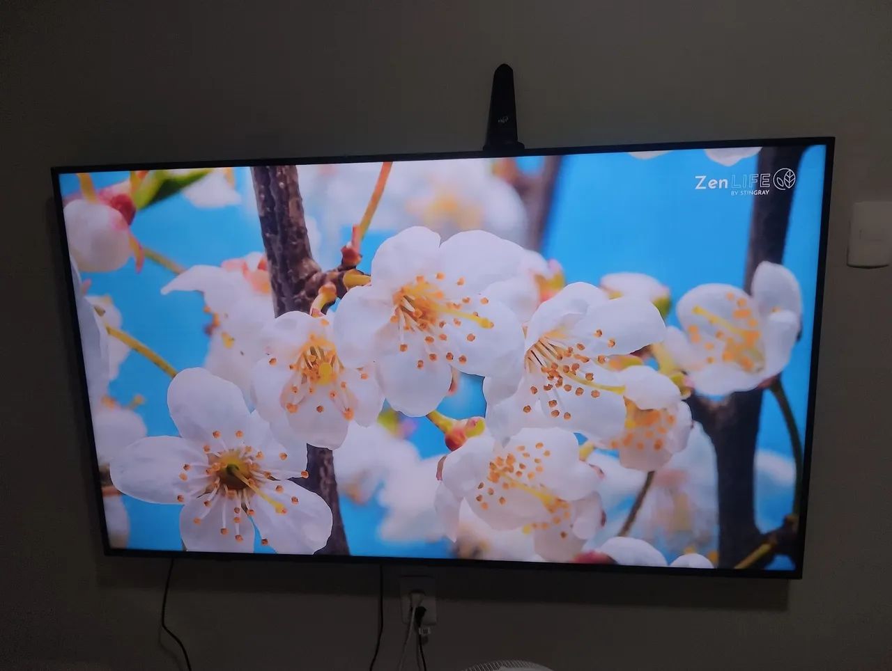 Vendo está tv 65 polegadas LG apenas 6 meses de uso estou vendendo pq preciso do dinheiro 