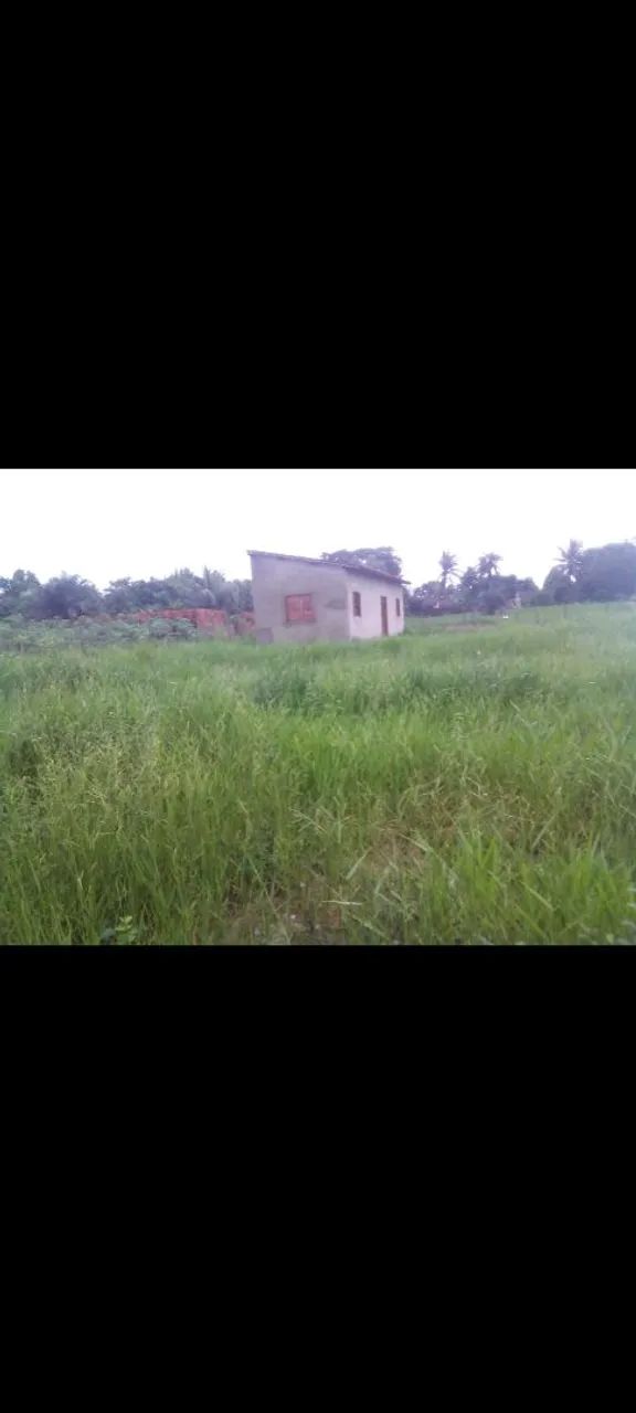 Vendo propriedade em Anadia  - Foto 2
