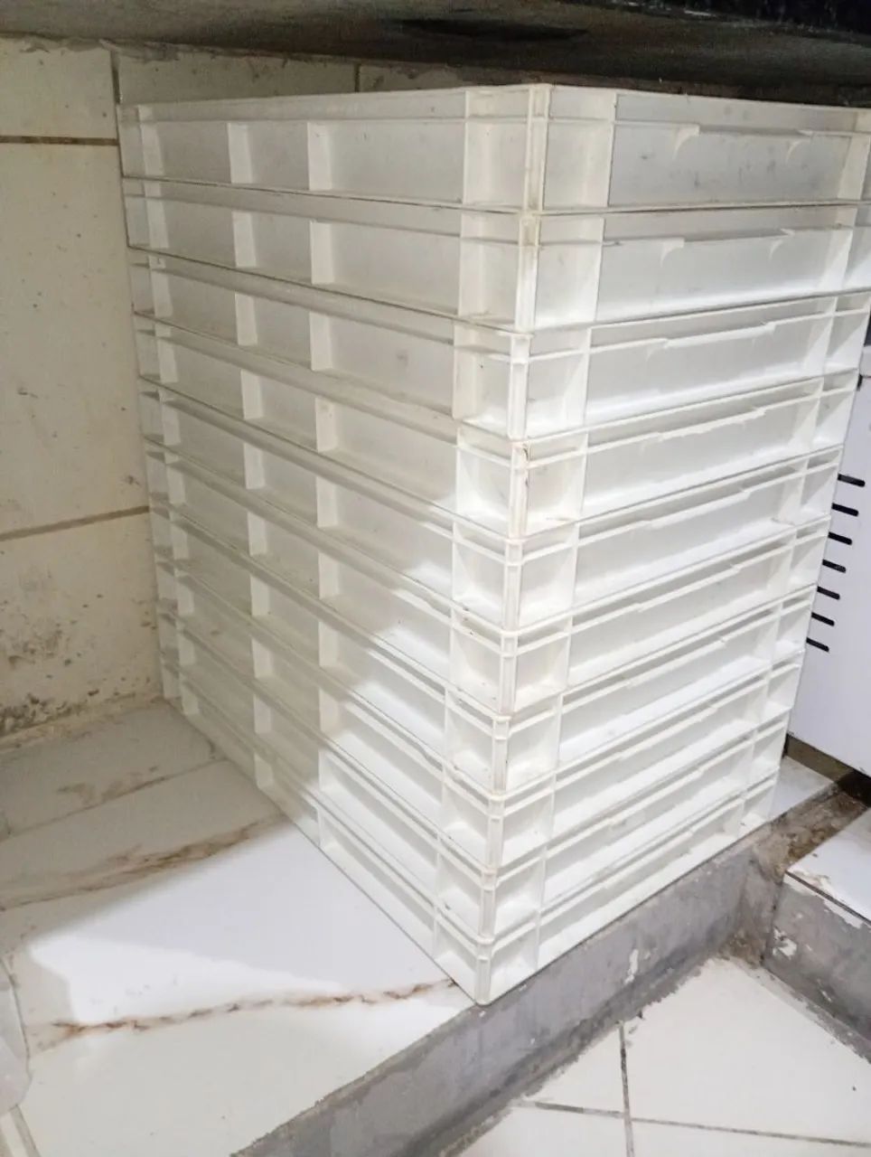 Caixas para fermentação(pizza esfiha) - Foto 2