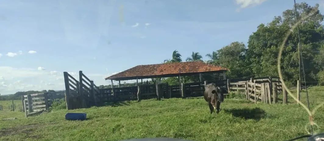 COD321- Fazenda 102 HECTARES- ROCHEDO/MS. - Foto 4
