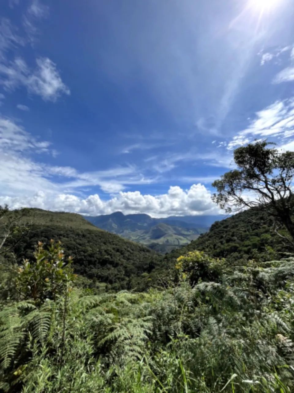 Foto - Aiuruoca - 