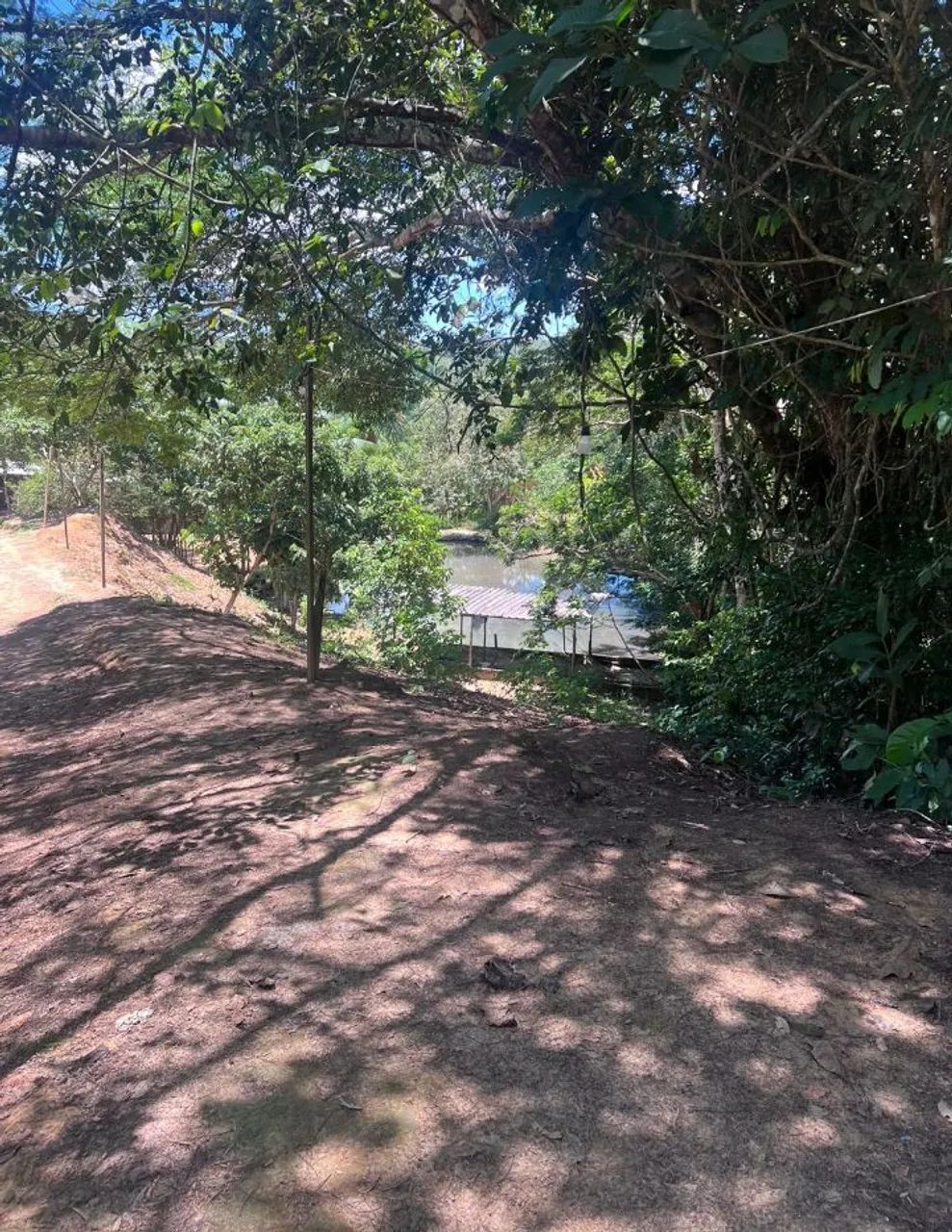 Sítio no ramal do paricatuba - Foto 2