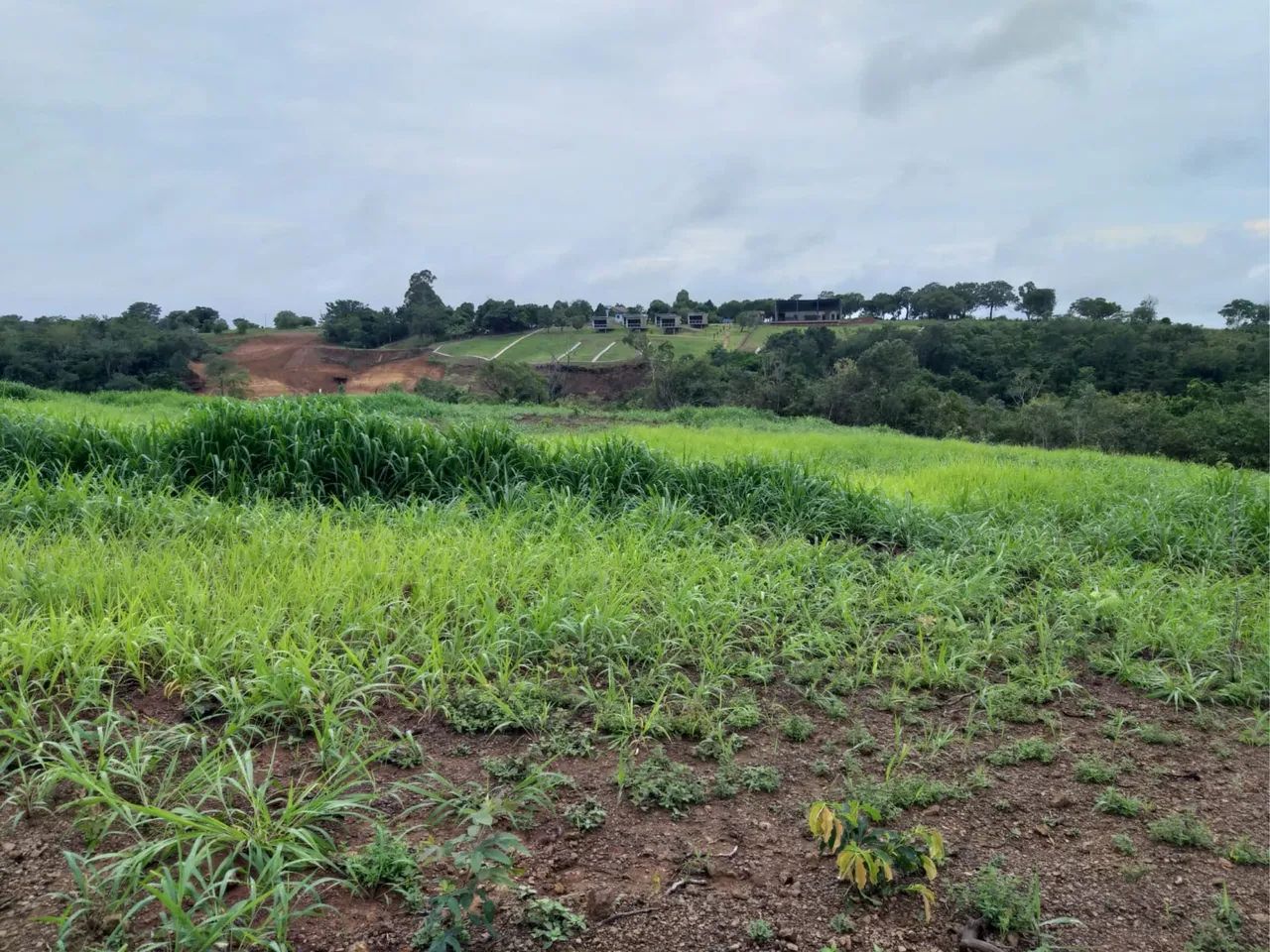 CHÁCARA COM CACHOEIRA À VENDA | 40.000 m² | PALMAS - TO - Foto 3