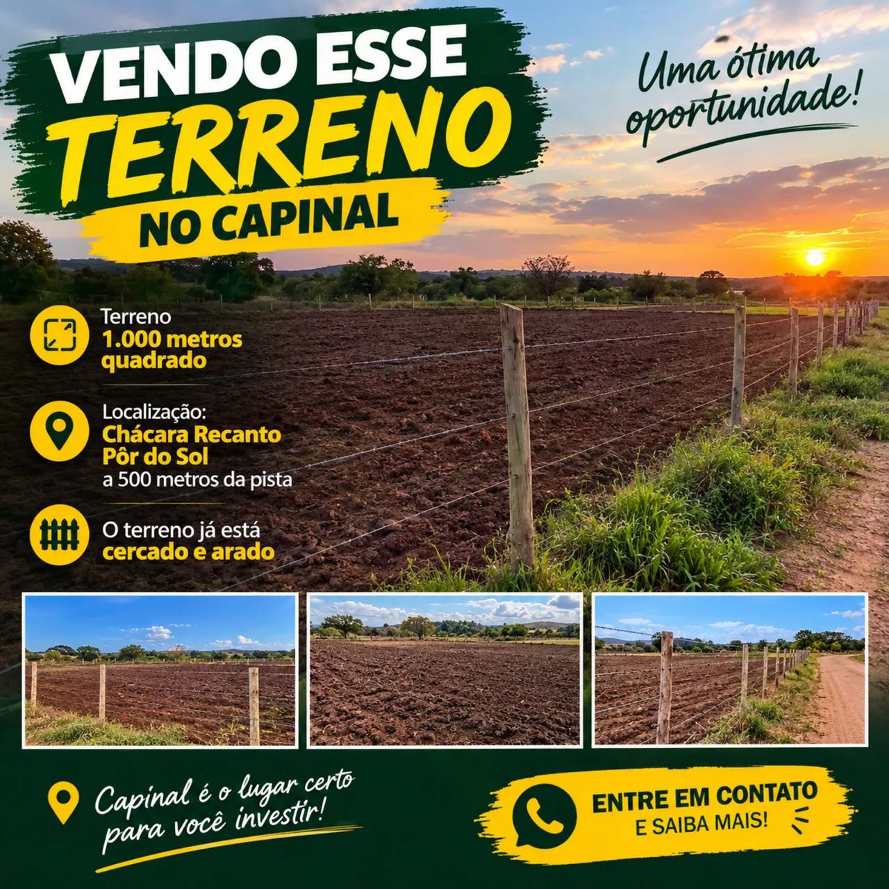 Terreno no capinal
