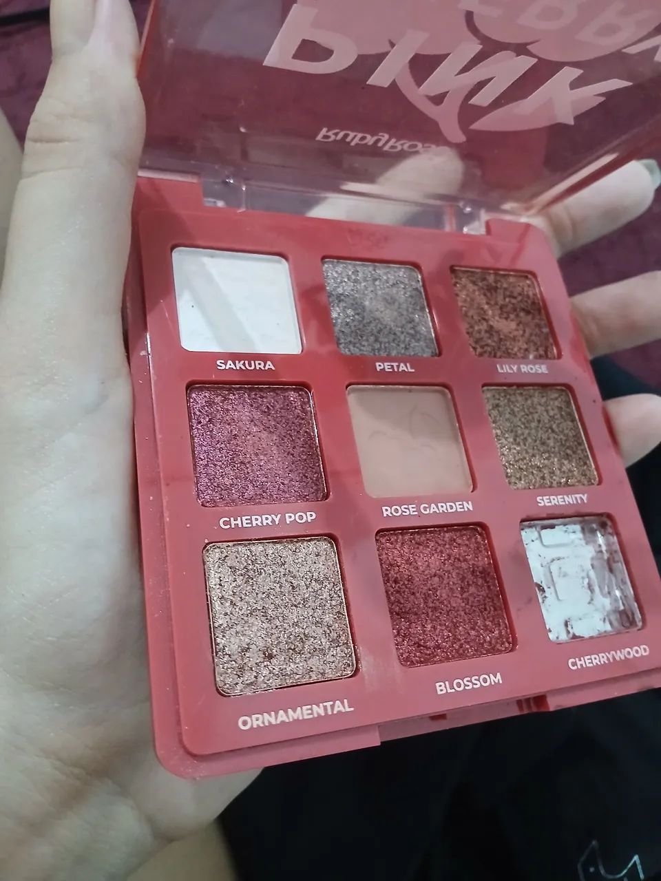 Doacao de Paleta - Foto 2