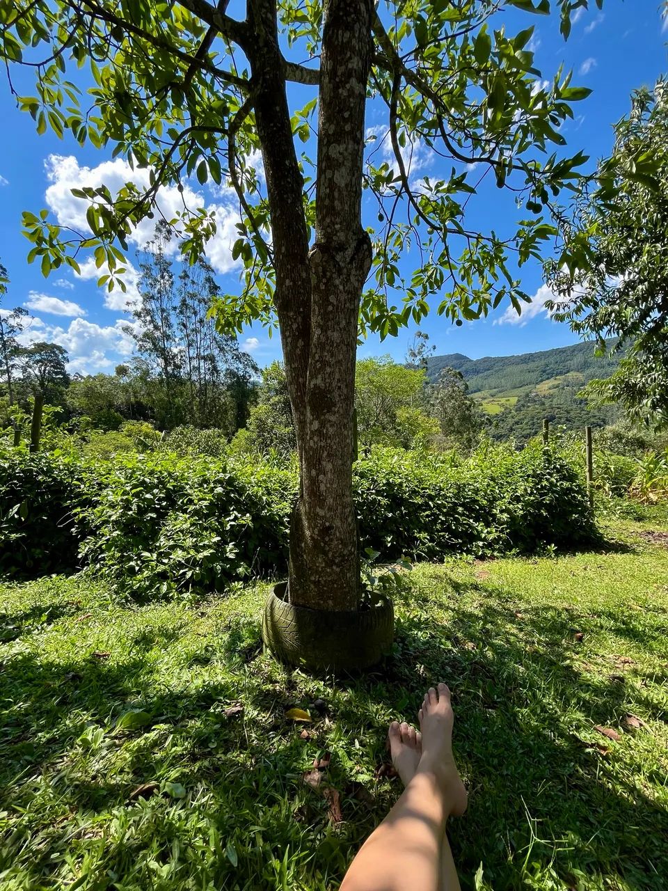 Foto - Presidente Nereu - 