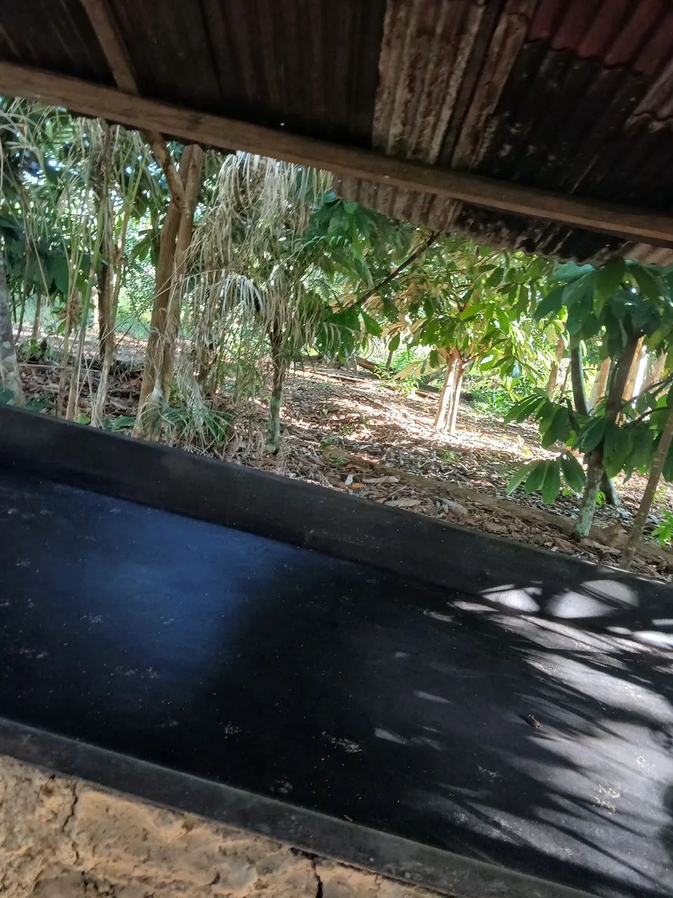 Terreno no taquara grande - Foto 5