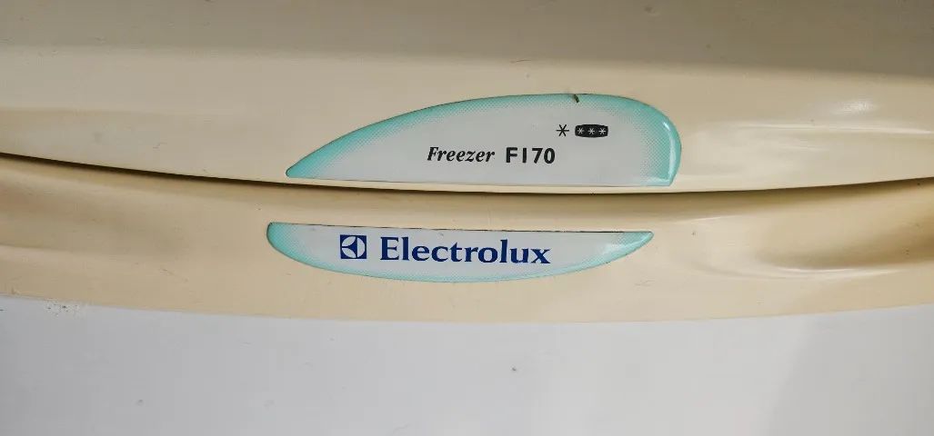 Freezer Eletrolux F-170 - Foto 2