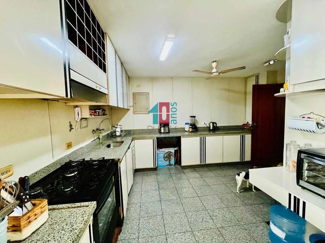 Jardim Oceânico | Cobertura 5 quartos, sendo 3 suites - Foto 5