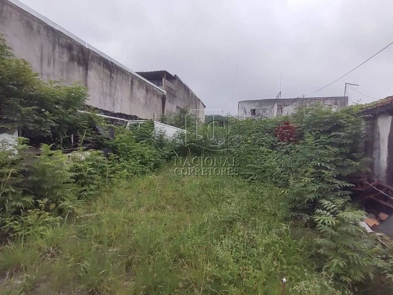 Terreno à venda, Vila Camilópolis - Santo André/SP - Foto 5