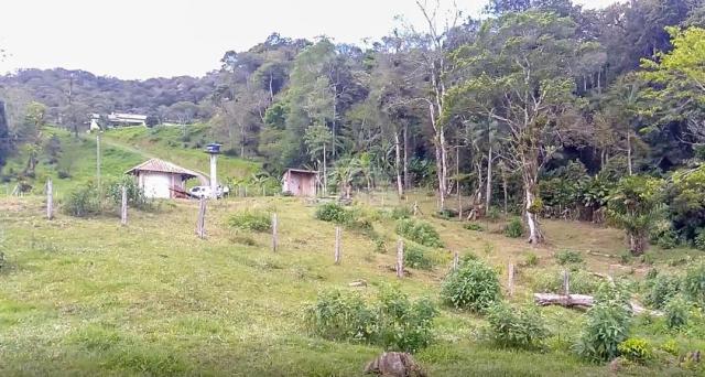 Chácara à venda em Barra do rio molha, Jaraguá do sul cod:149659 - Foto 12