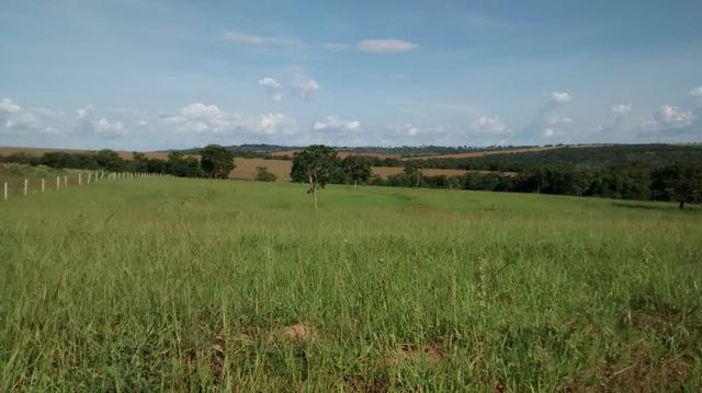 Fazenda de 4 alqueires para pecuária a venda na região de Caldas Novas GO - Foto 6