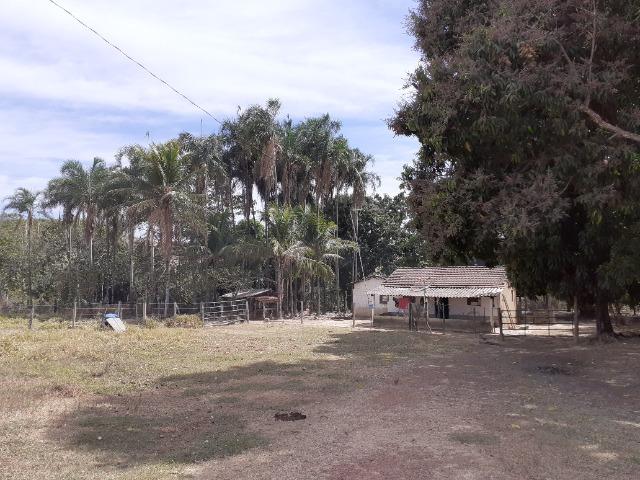 Fazenda 23 Alqueires, Formada, Plana, Terra Cultura, 1,2 Asfalto-Goiánésia - Foto 16