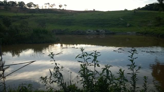 Terreno - Foto 2