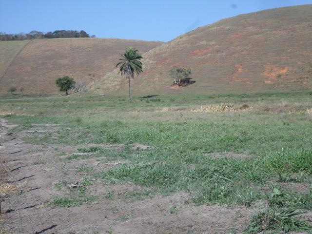 Fazenda de 154 alqueires em Silva Jardim, RJ - Foto 10