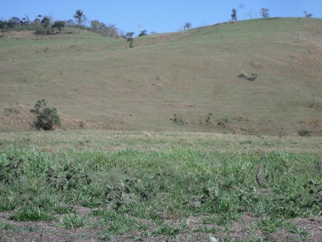Fazenda de 154 alqueires em Silva Jardim, RJ - Foto 12
