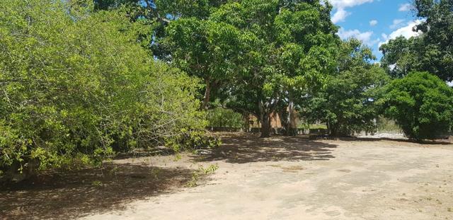 Chácara na Matinha, próximo a entrada de São José - Foto 4