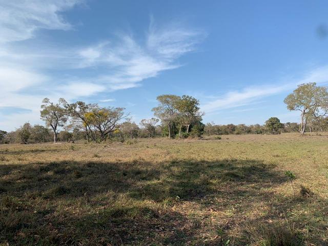 Fazenda formada em Poconé /MT com 1360 hectares - Foto 8